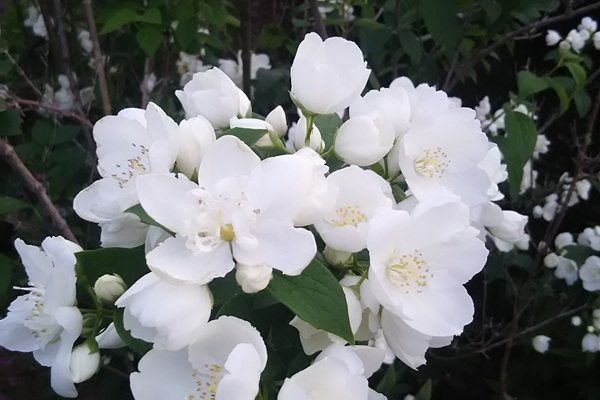 イメージ画像
